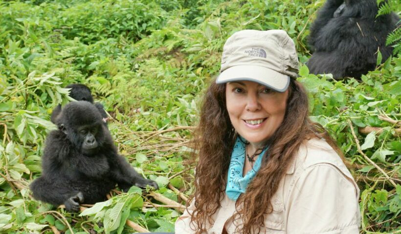 Gorilla Trekking In Uganda