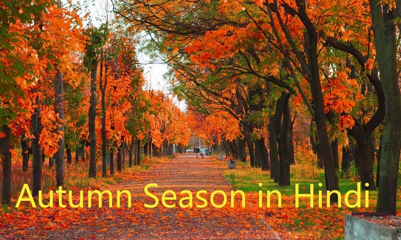 Autumn Season in Hindi – शरद ऋतु का मौसम