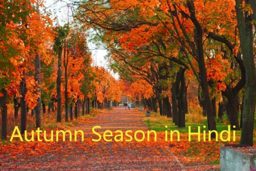 Autumn Season in Hindi – शरद ऋतु का मौसम