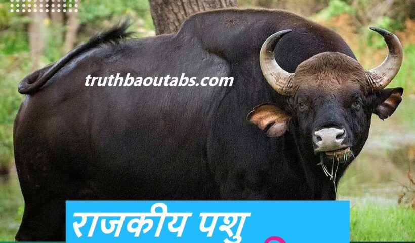 बिहार का राजकीय पशु कौन सा है ?Bihar Ka Rajkiya Pashu