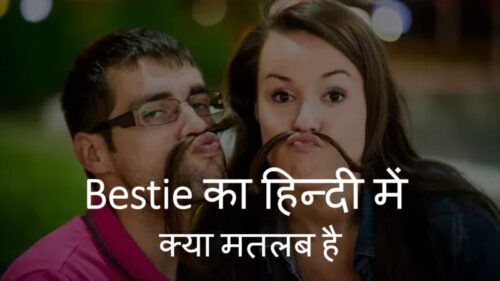 Bestie meaning in Hindi – Bestie का हिन्दी में क्या मतलब है?