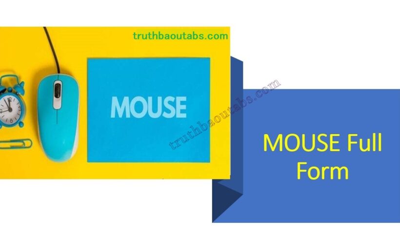 MOUSE Full Form, बनावट और प्रकार