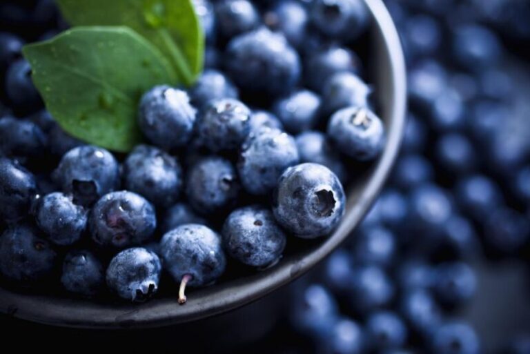 wellhealthorganic.com:blueberry-brain-boosting-benefits