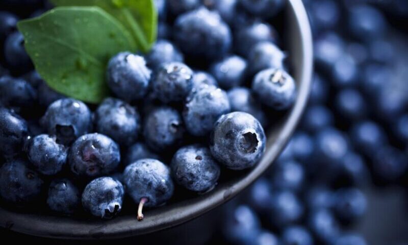 wellhealthorganic.com:blueberry-brain-boosting-benefits