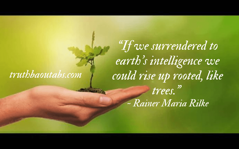 World Environment Day 2023: Nature Quotes and Sayings 