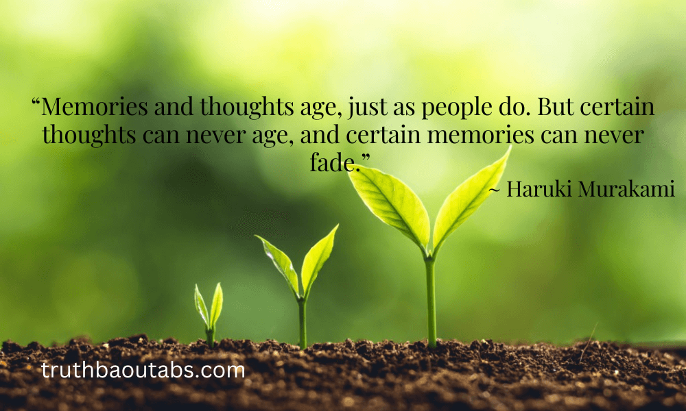 100+ Memories Quotes to motivate you 