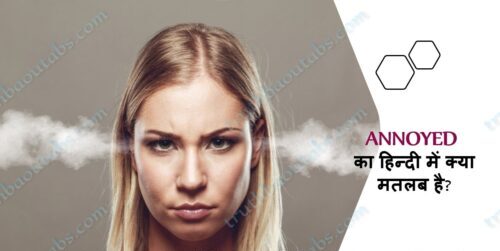 ANNOYED Meaning in Hindi – ANNOYED का हिन्दी में क्या मतलब है?