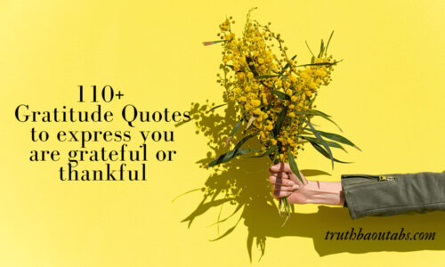 110+ Gratitude Quotes to express you are grateful or thankful