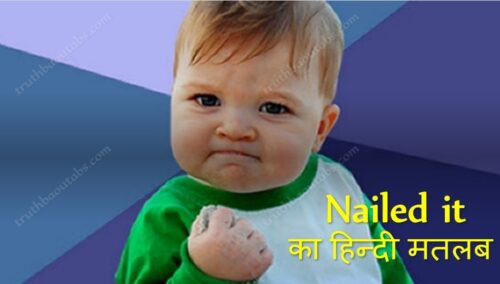 Nailed it Meaning in Hindi – Nailed it का हिन्दी में क्या मतलब है ?