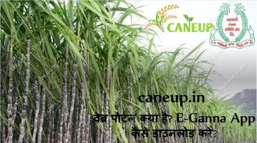 caneup.in वेब पोर्टल क्या है? E-Ganna App कैसे डाउनलोड करें?