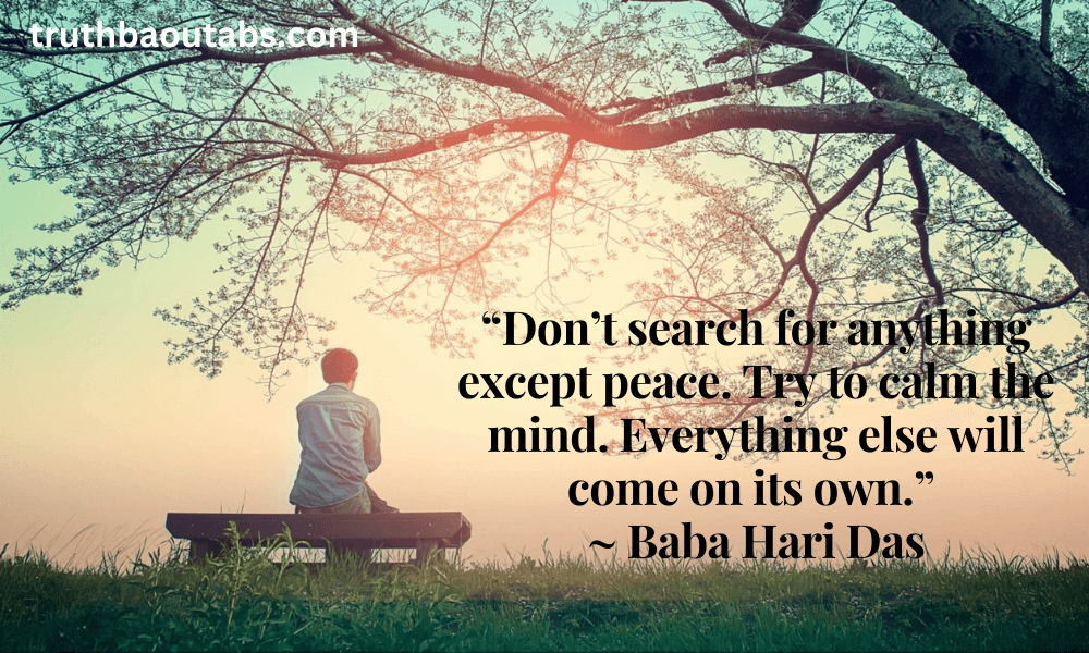 100+ Peace Quotes to Inspire Tranquility in Life