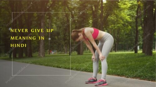 Never Give Up Meaning In Hindi