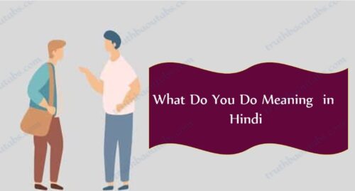 What Do You Do Meaning in Hindi