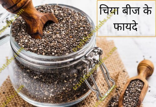 चिया सीड्स क्या है ? – फ़ायदे और नुकसान Chia Seeds In Hindi