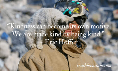 100 Kindness Quotes to inspire you