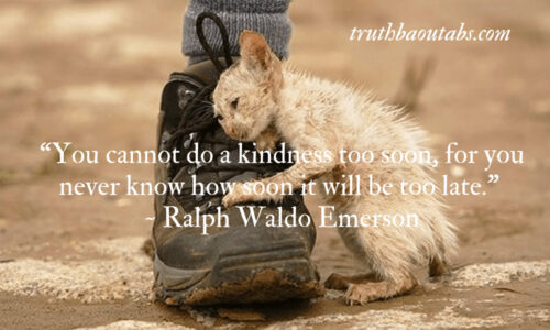 100 Kindness Quotes to inspire you