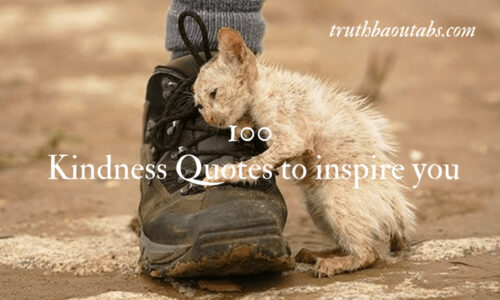 100 Kindness Quotes to inspire you